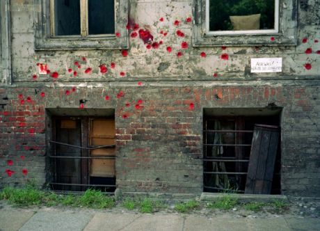 Foto e Psicoterapia: Wim Wenders, quando gli scatti diventano racconto